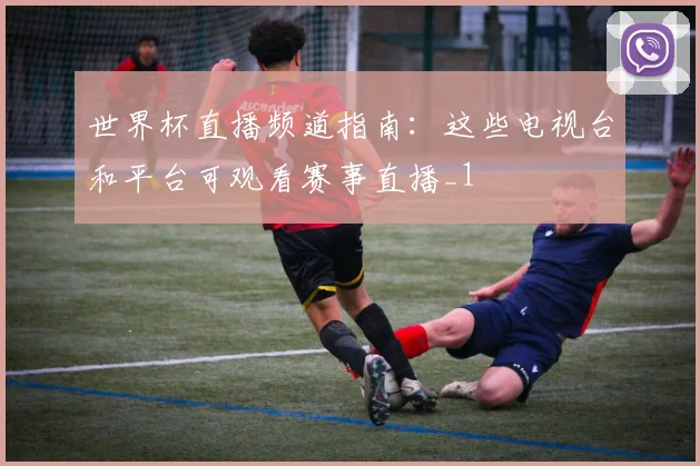 世界杯直播频道指南:这些电视台和平台可观看赛事直播_1