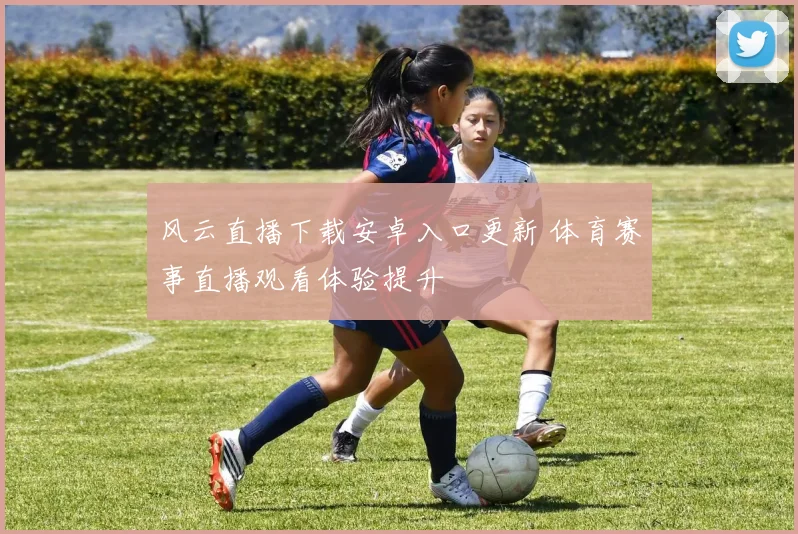风云直播下载安卓入口更新 体育赛事直播观看体验提升