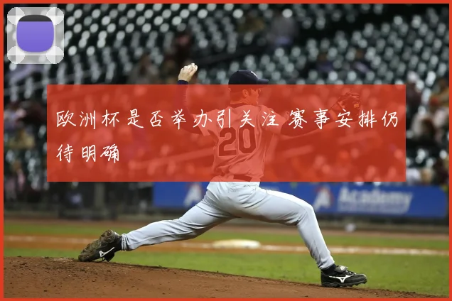 欧洲杯是否举办引关注 赛事安排仍待明确