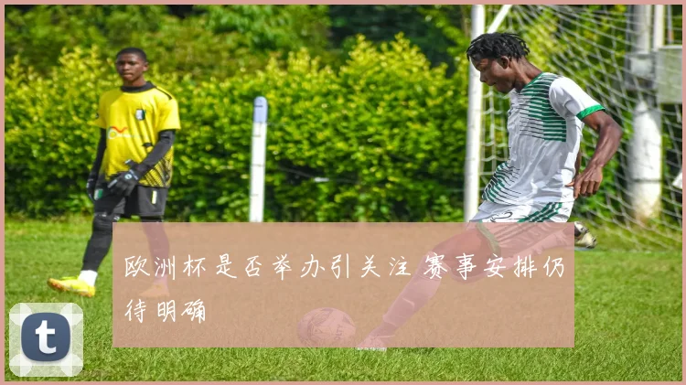 欧洲杯是否举办引关注 赛事安排仍待明确