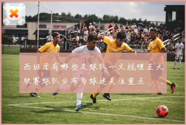 西班牙有哪些足球队一文梳理五大联赛球队分布与球迷关注重点