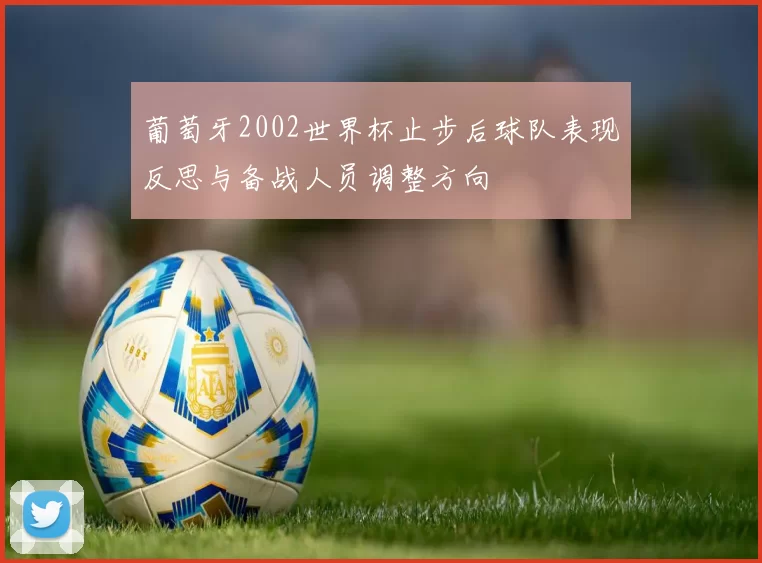 葡萄牙2002世界杯止步后球队表现反思与备战人员调整方向