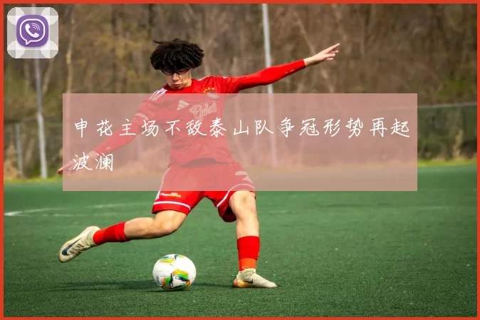 申花主场不敌泰山队争冠形势再起波澜